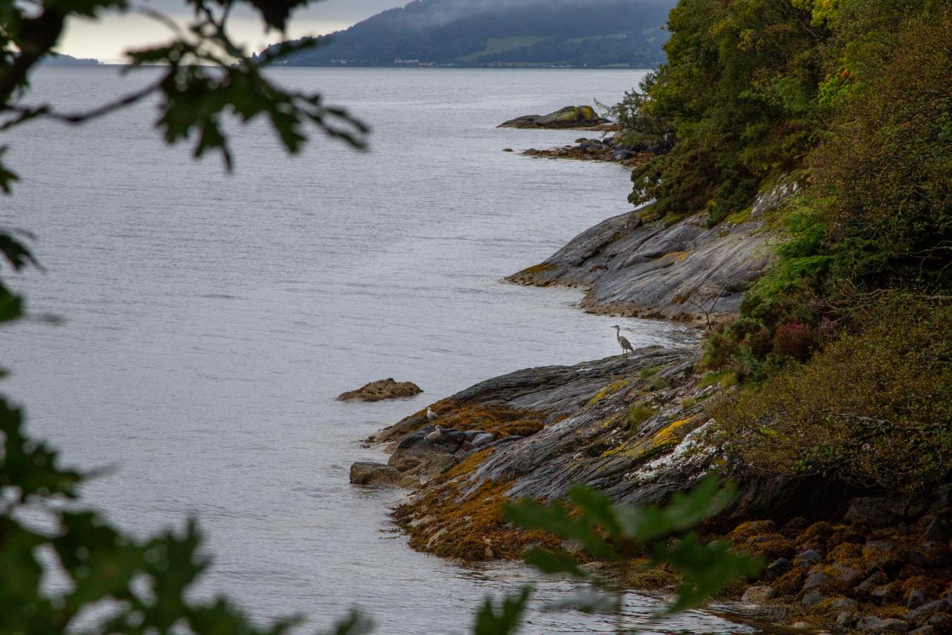 Coastal trails on the Dunoon Dash
