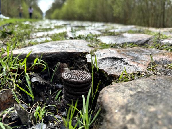 Five Oreos deep soon became the norm for much of the Arenberg's cobbled surface