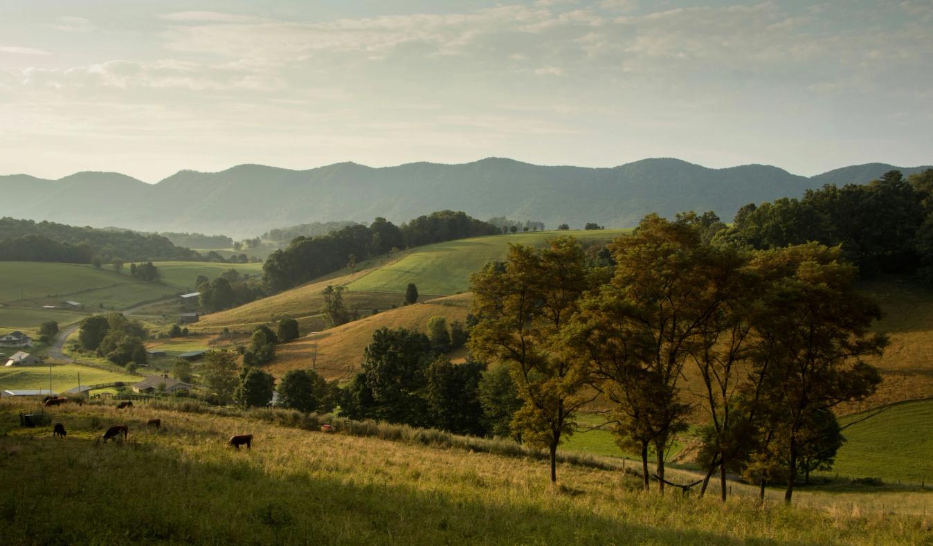 A pastoral landscape: Virginia, USA