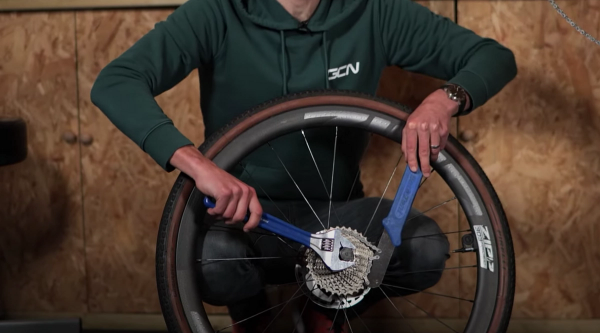 Use the chain whip and lockring tool to remove the cassette