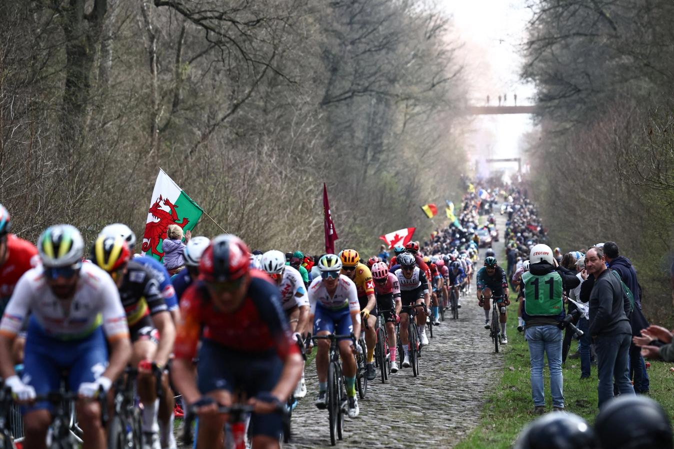 Around 10,000 spectators line the Arenberg trench each year
