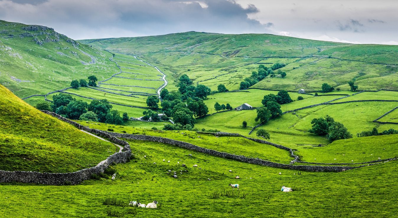 Pleasant pastures green in the Yorkshire Dales