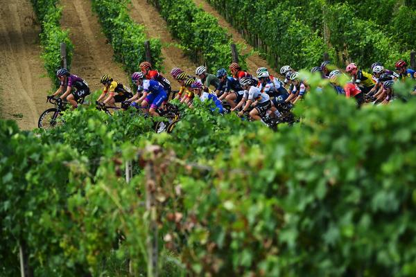 The Giro Donne peloton passes through the vineyards of Italy