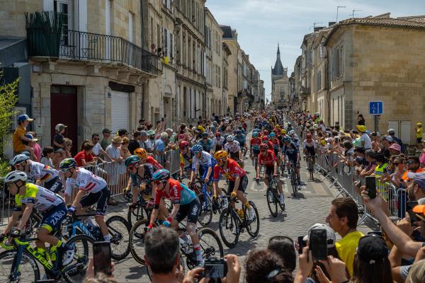 The Tour de France peloton on stage 8