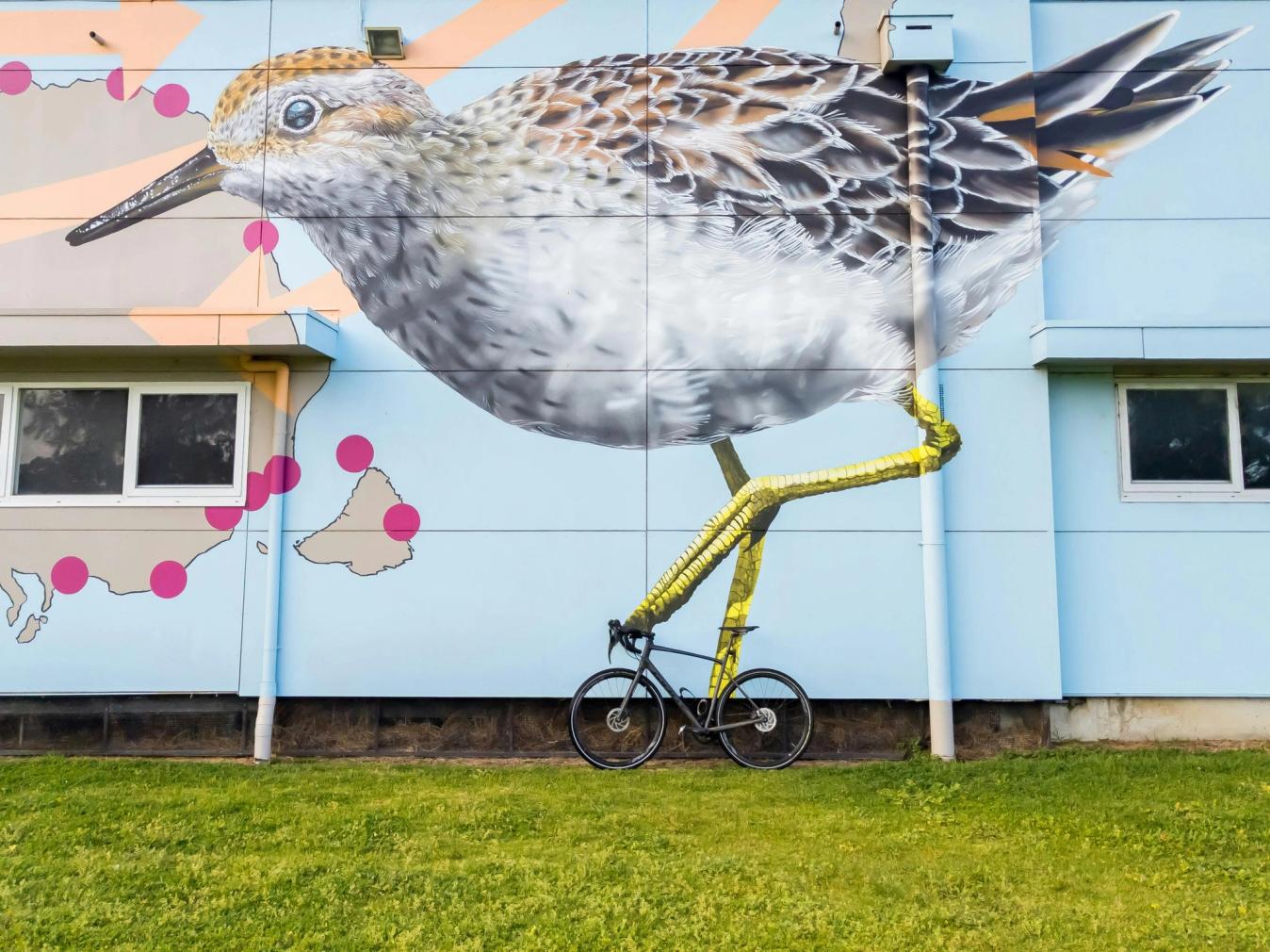 This submission was aptly labelled as a 'Giant bird atop a Giant bike'