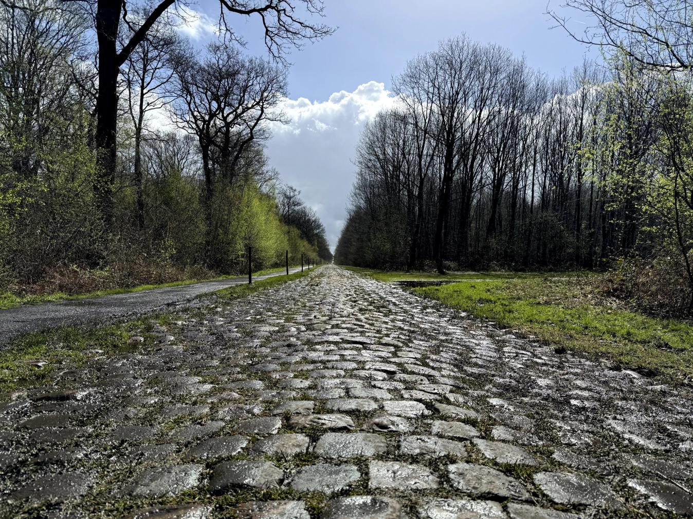 Discovered by Jean Stablinski as he worked in the nearby mineshaft, Arenberg's fearsome cobbles were introduced to Paris-Roubaix in 1968