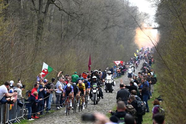 The Arenberg Forest is a feared sector of Paris-Roubaix because of the severity of the cobblestone and the likelihood of crashes on the bone-rattling stones that run through the forest 