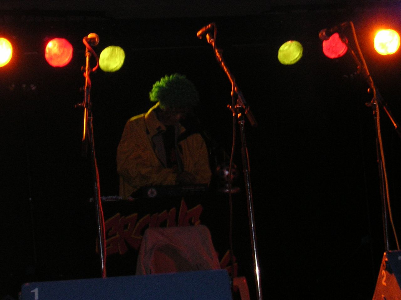 Festival de Berthaume