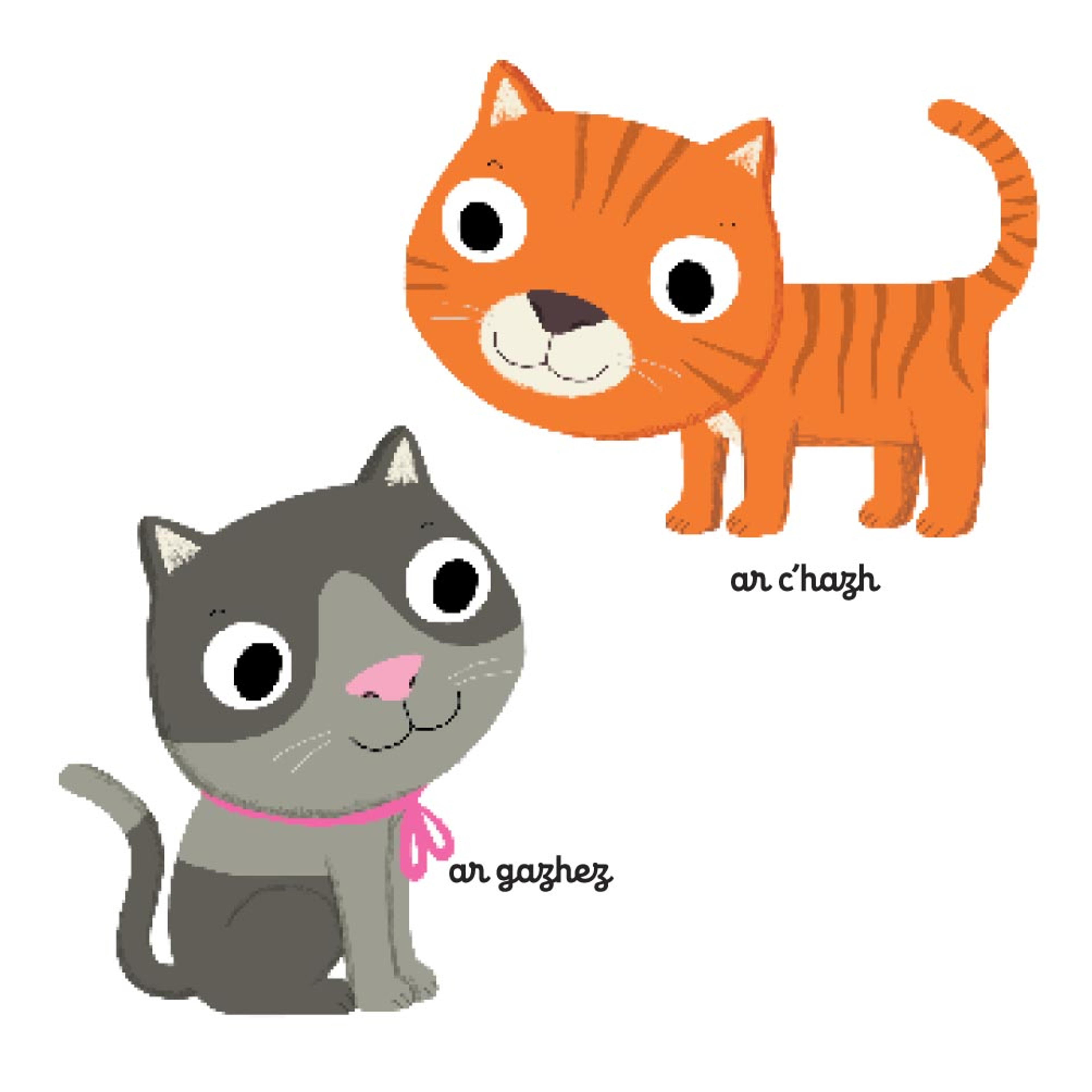Mon imagier des animaux familiers - 3