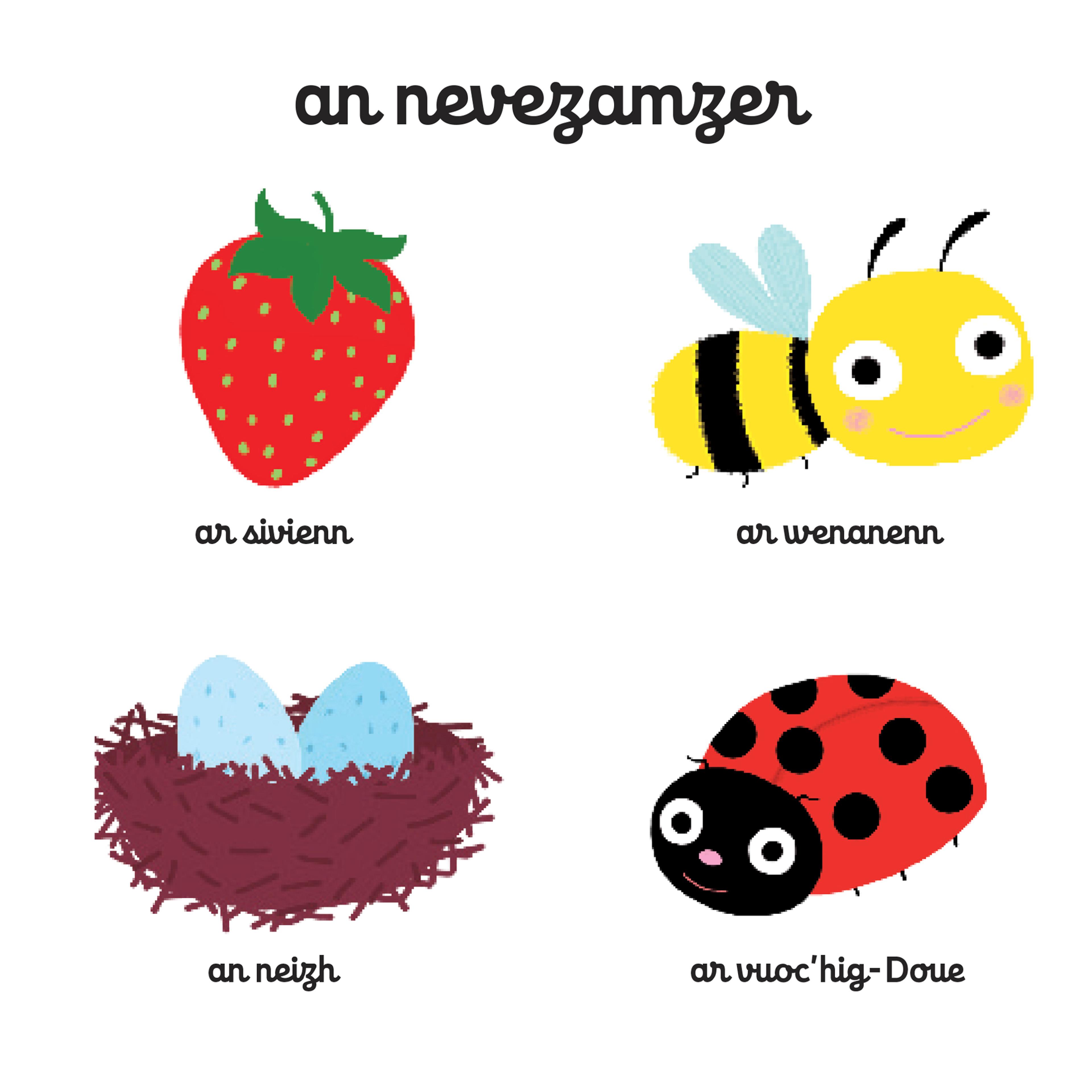 Mon imagier des saisons - 2