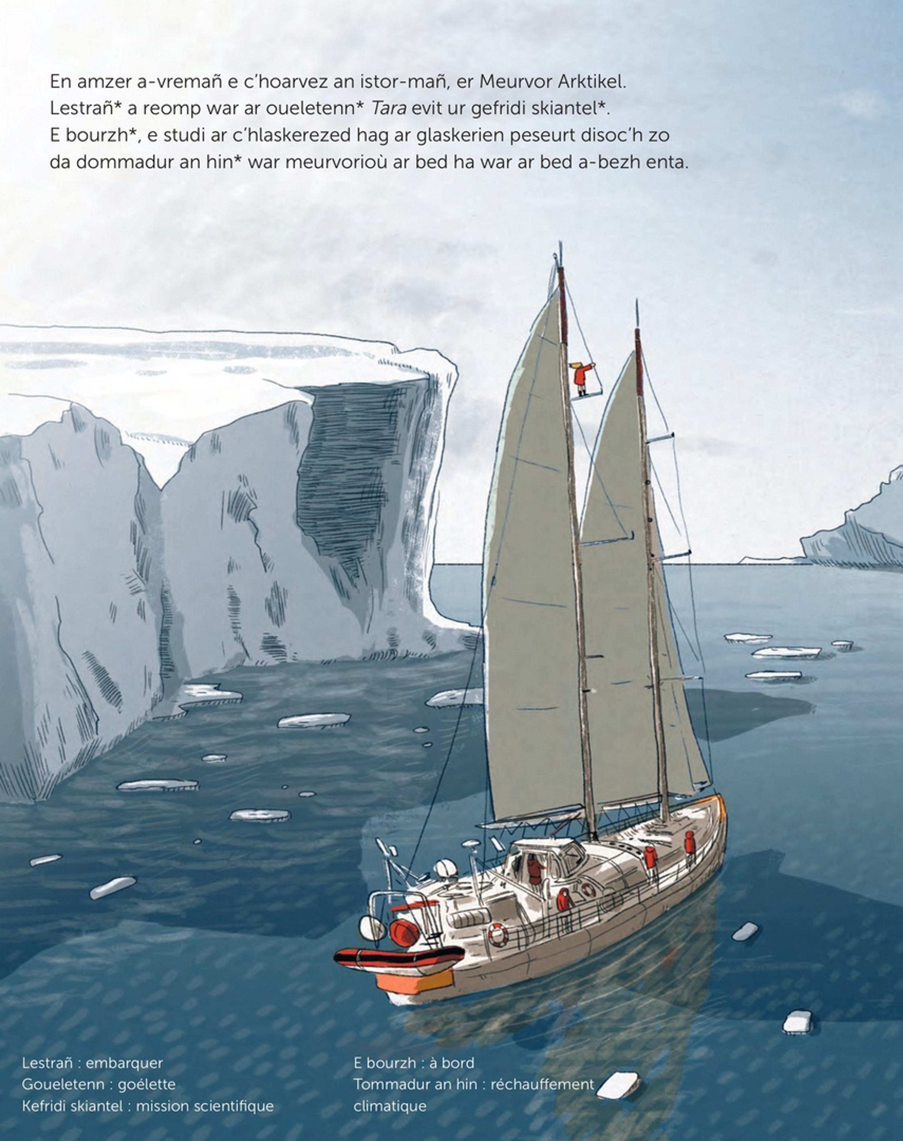 Le réchauffement climatique : Mission Tara en Arctique - 2