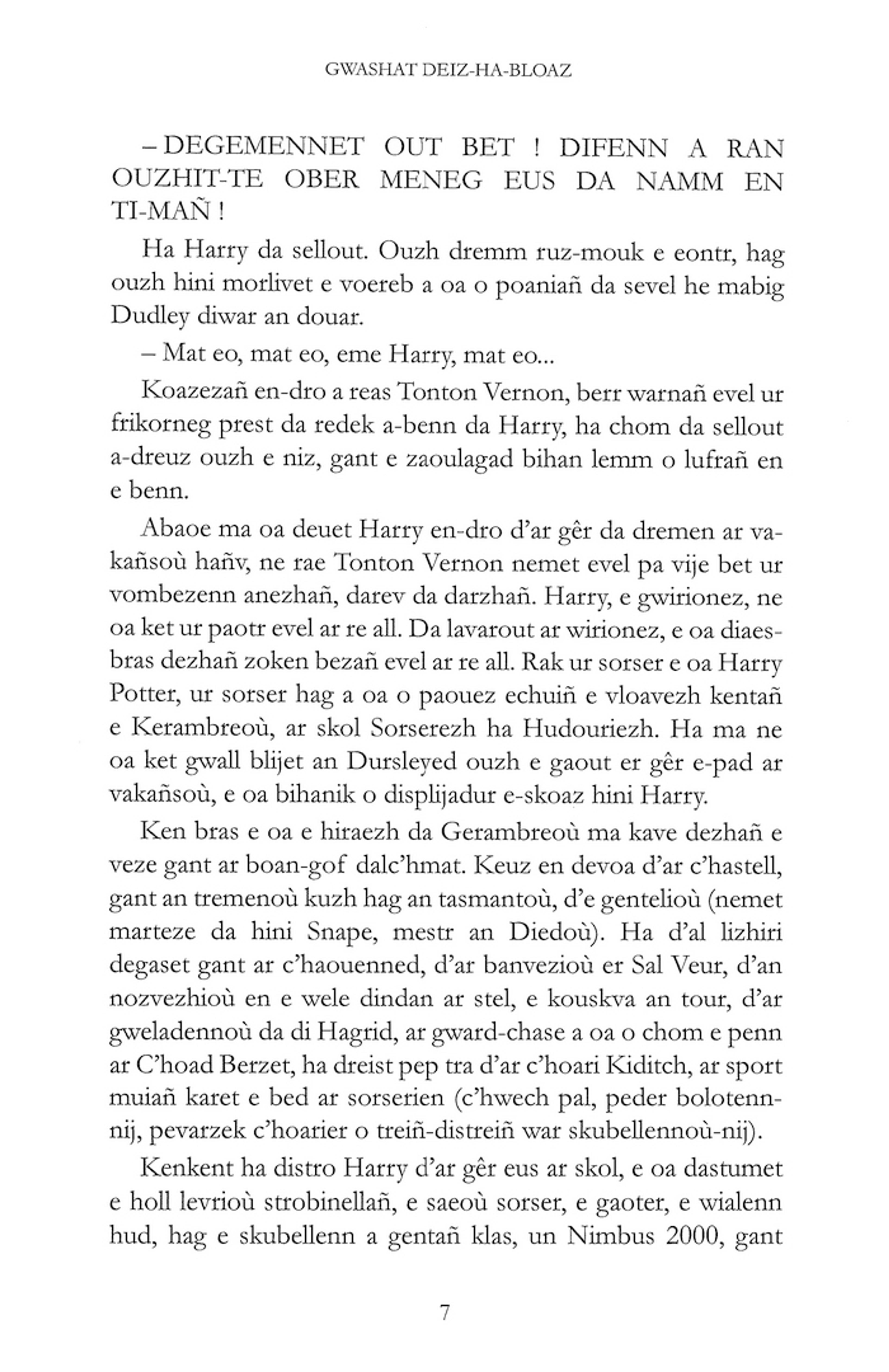 Harry Potter and the Chamber of Secrets (II) - 4