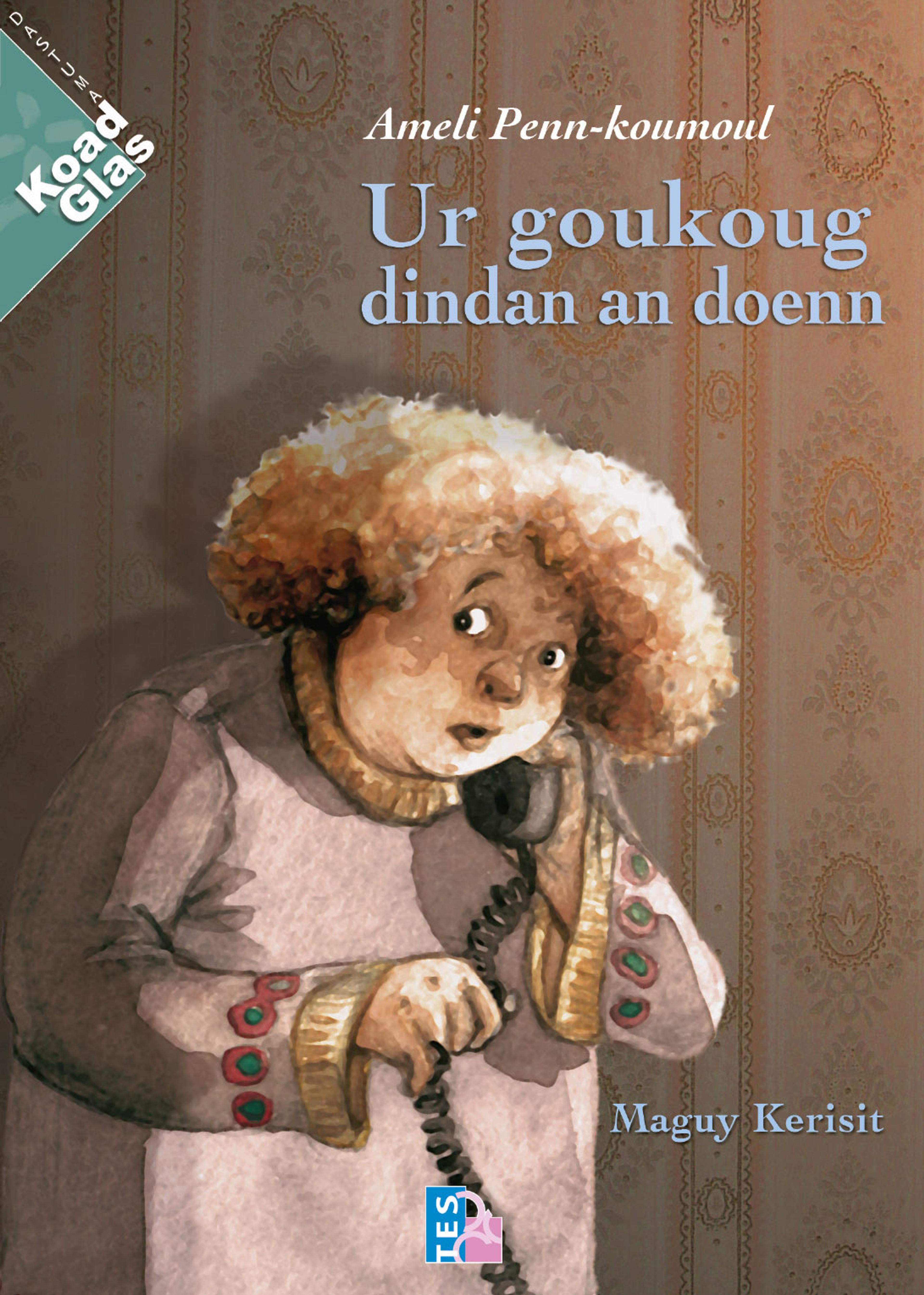 Ameli Penn-koumoul 2 - Ur goukoug dindan an doenn - 1