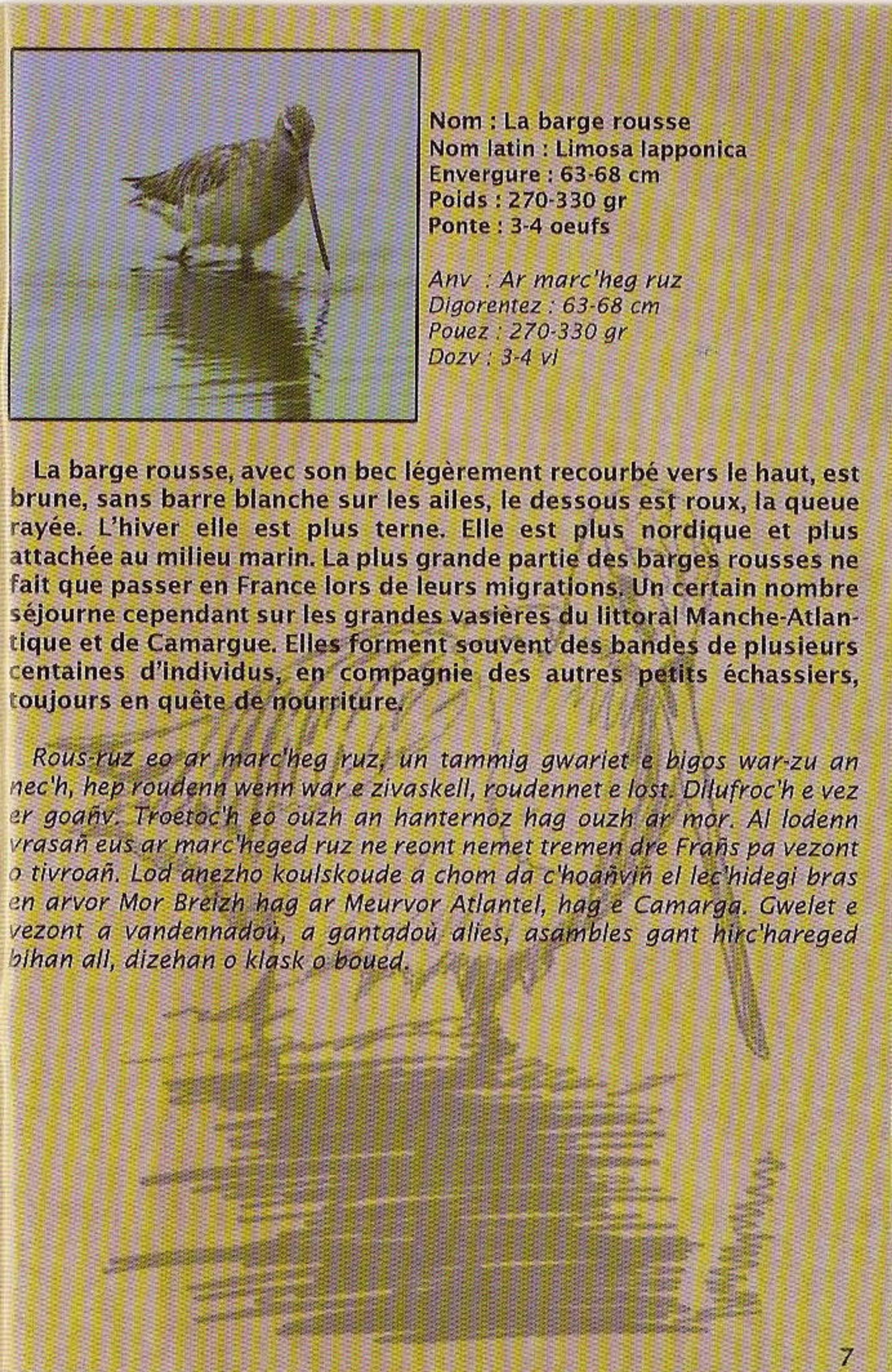 Les Ailes du rivage - 3