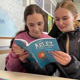 « Elle est rebelle » : ces collégiens ont traduit la BD à succès « Mortelle Adèle » en breton