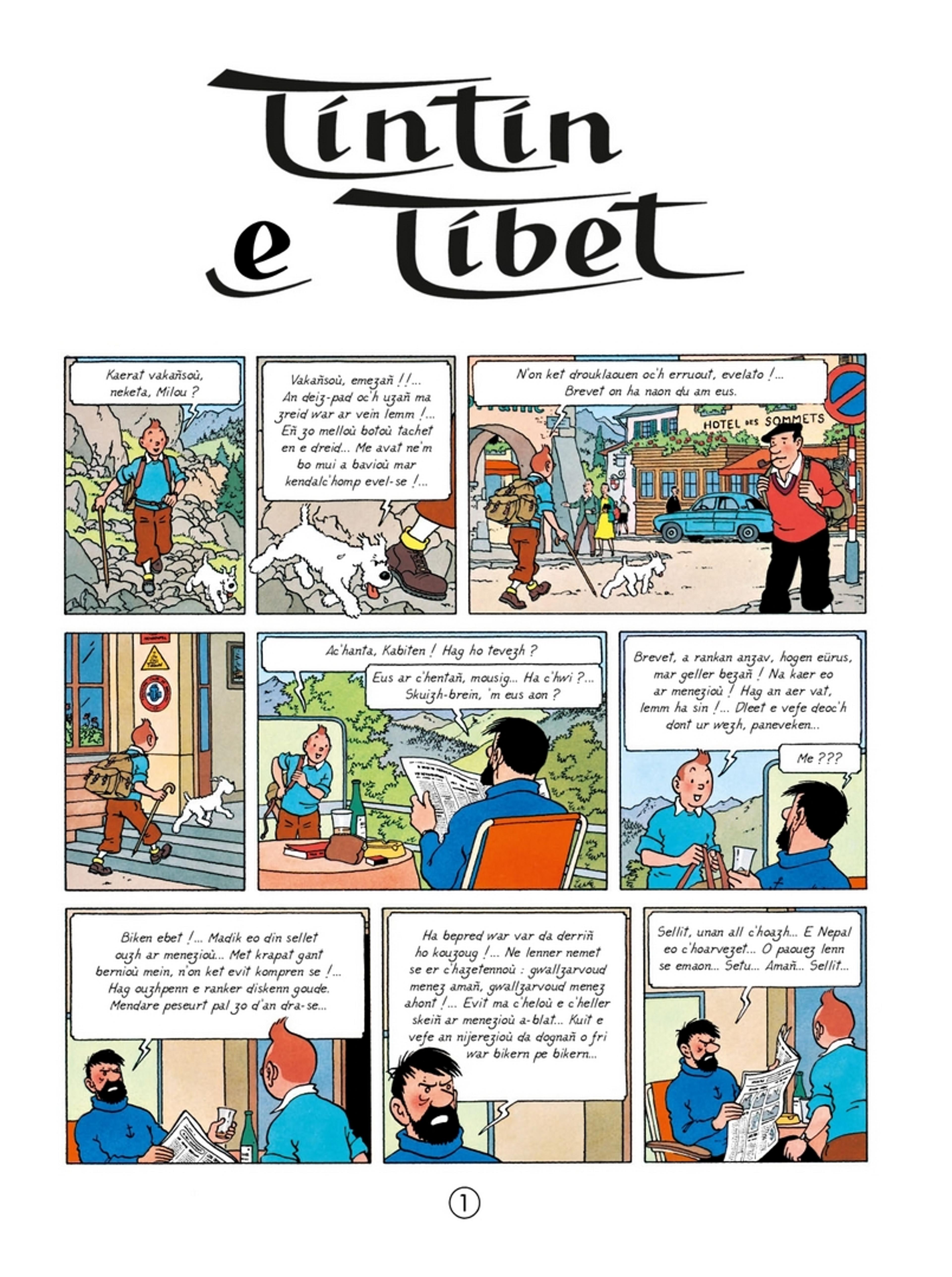 Tintin e Tibet - 2