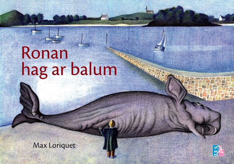 Ronan et la baleine