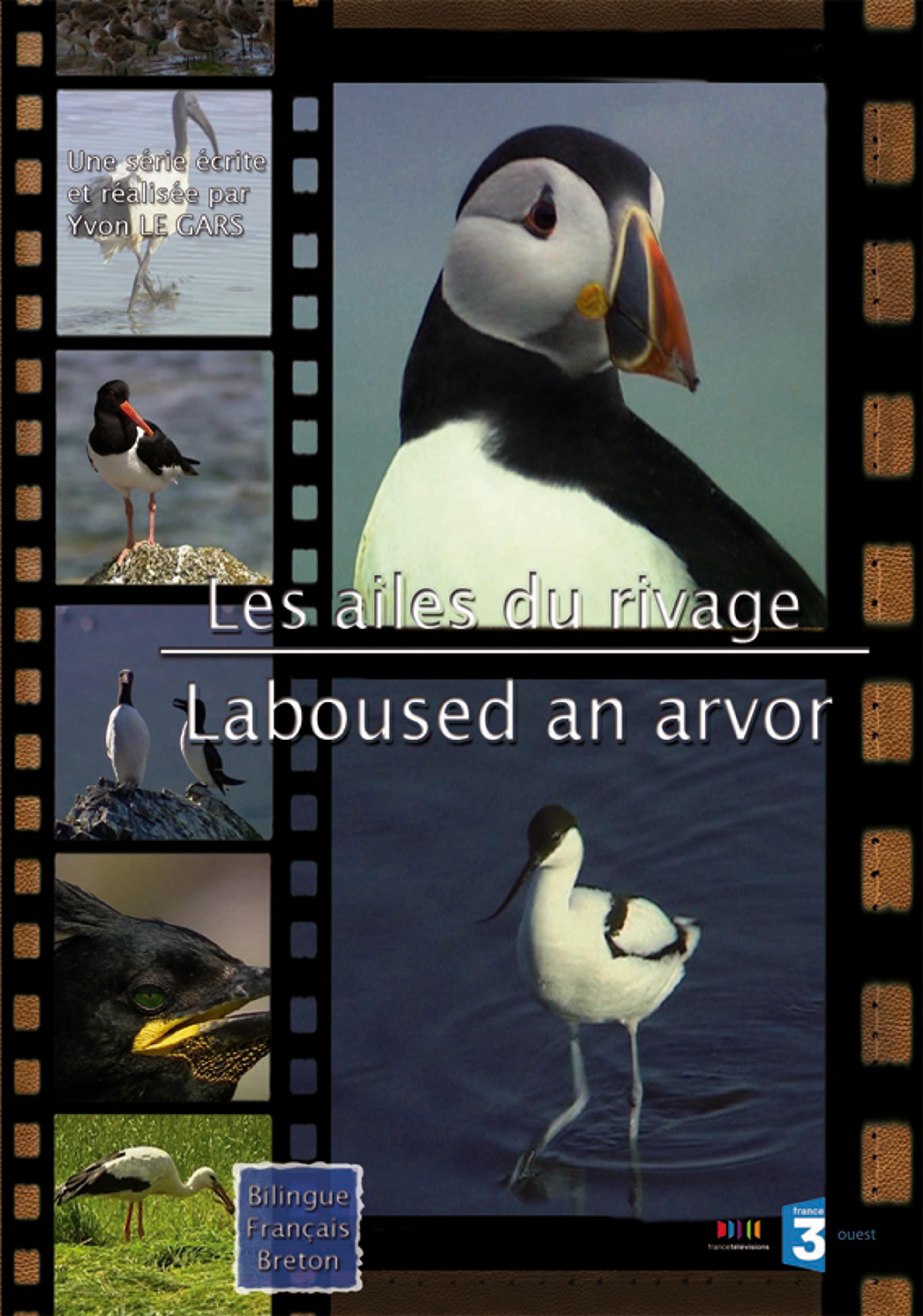 Les Ailes du rivage - 1