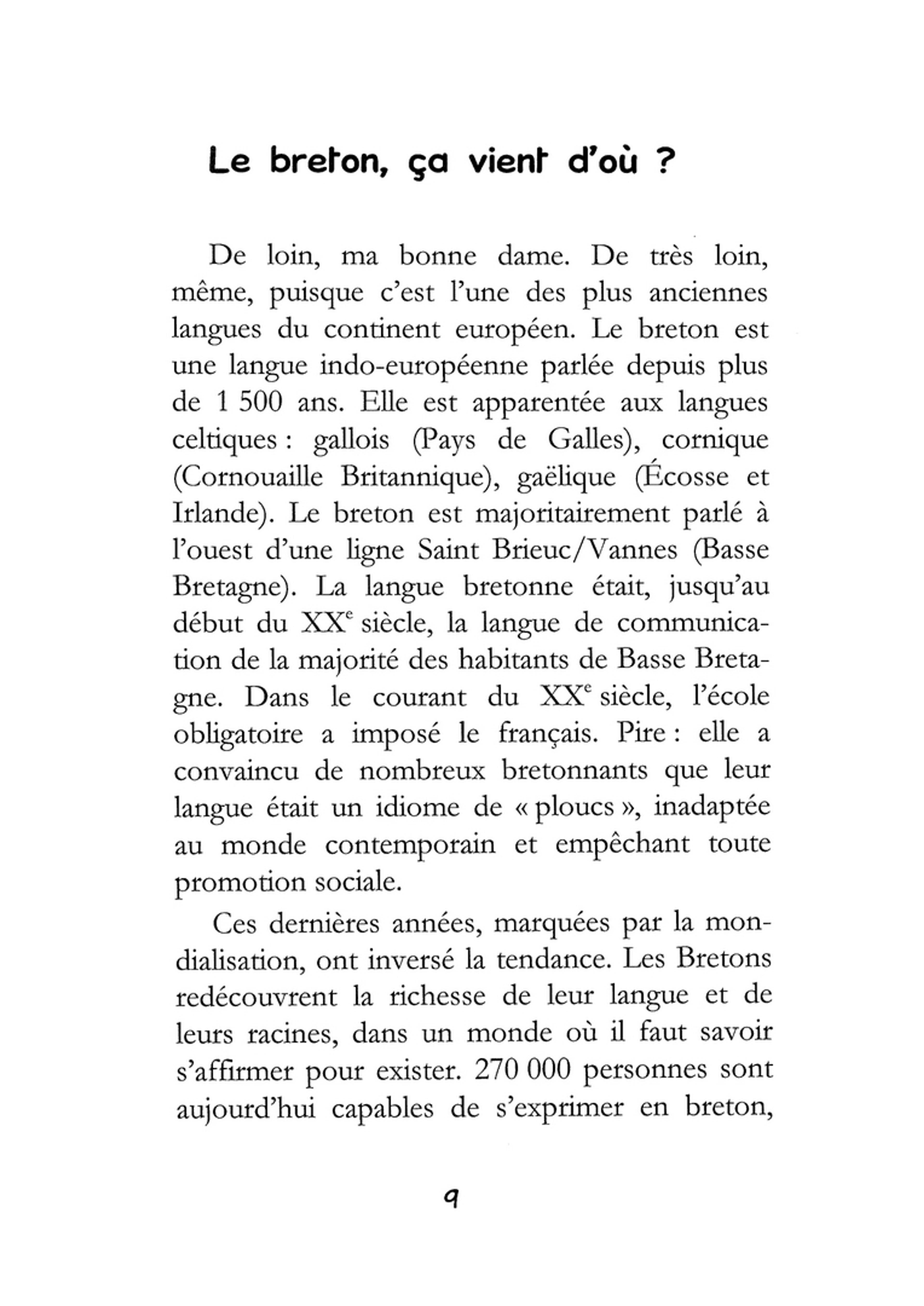 Ce que vous avez toujours  voulu savoir sur le breton ! - 4