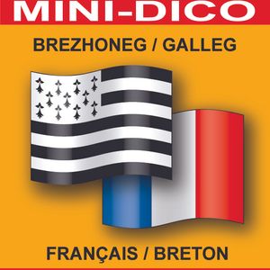 Mini-dico français-breton / breton-français