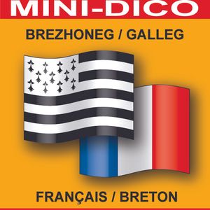 Mini-dictionnaire français-breton / breton-français