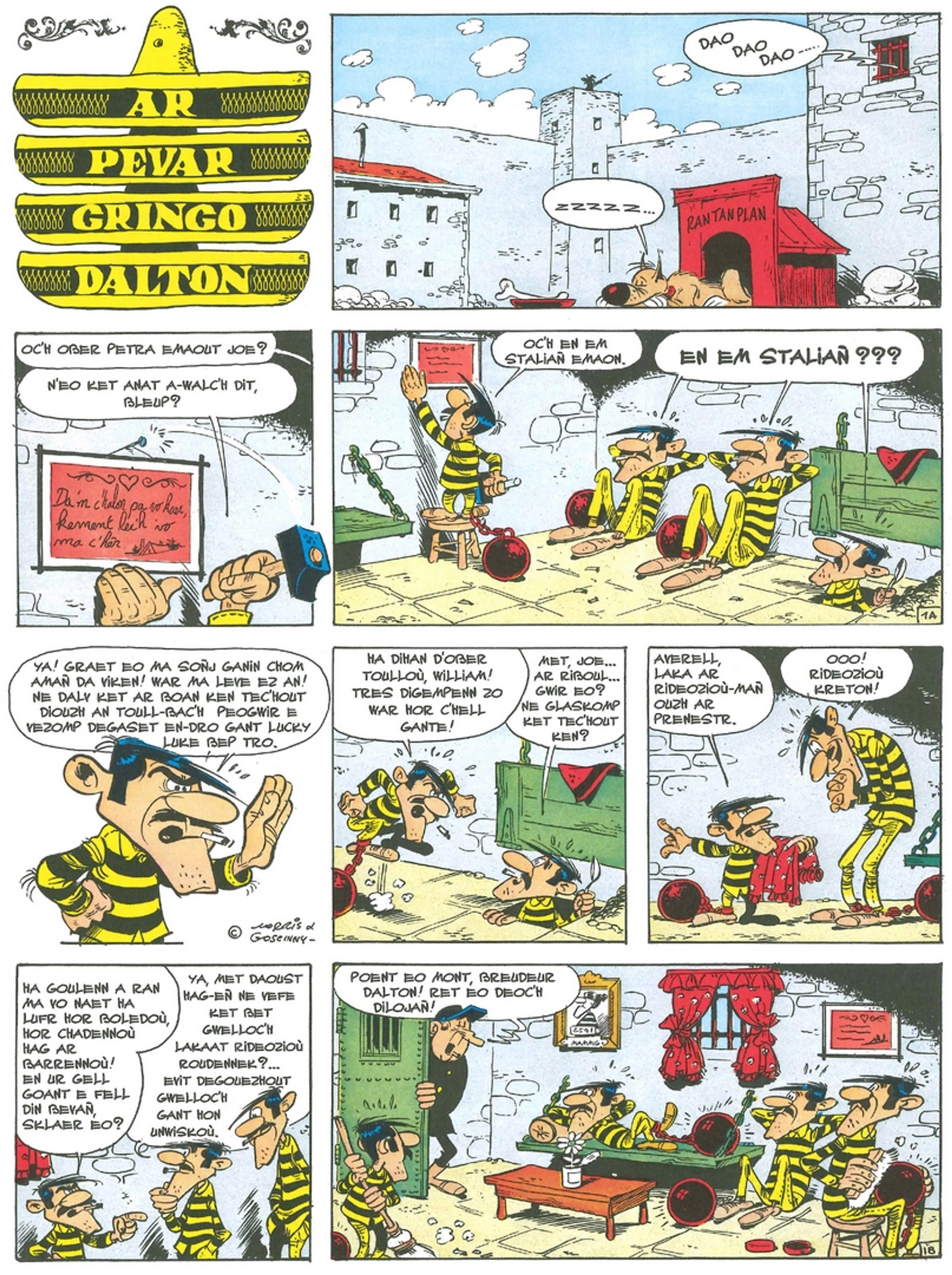 Ar pevar gringo Dalton - 2