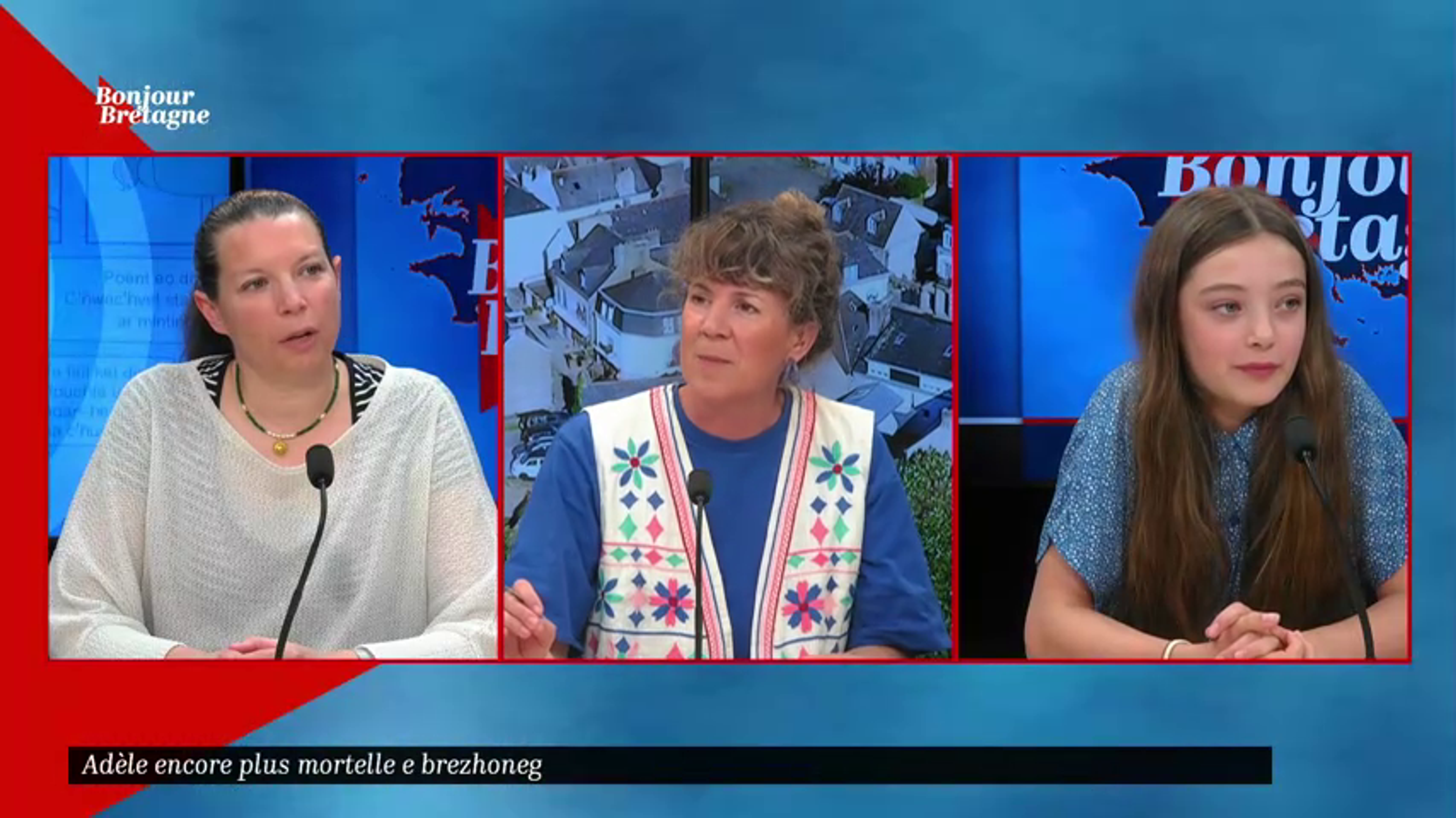 « On a galéré » ces collégiens de Quimper ont traduit Mortelle Adèle en breton !