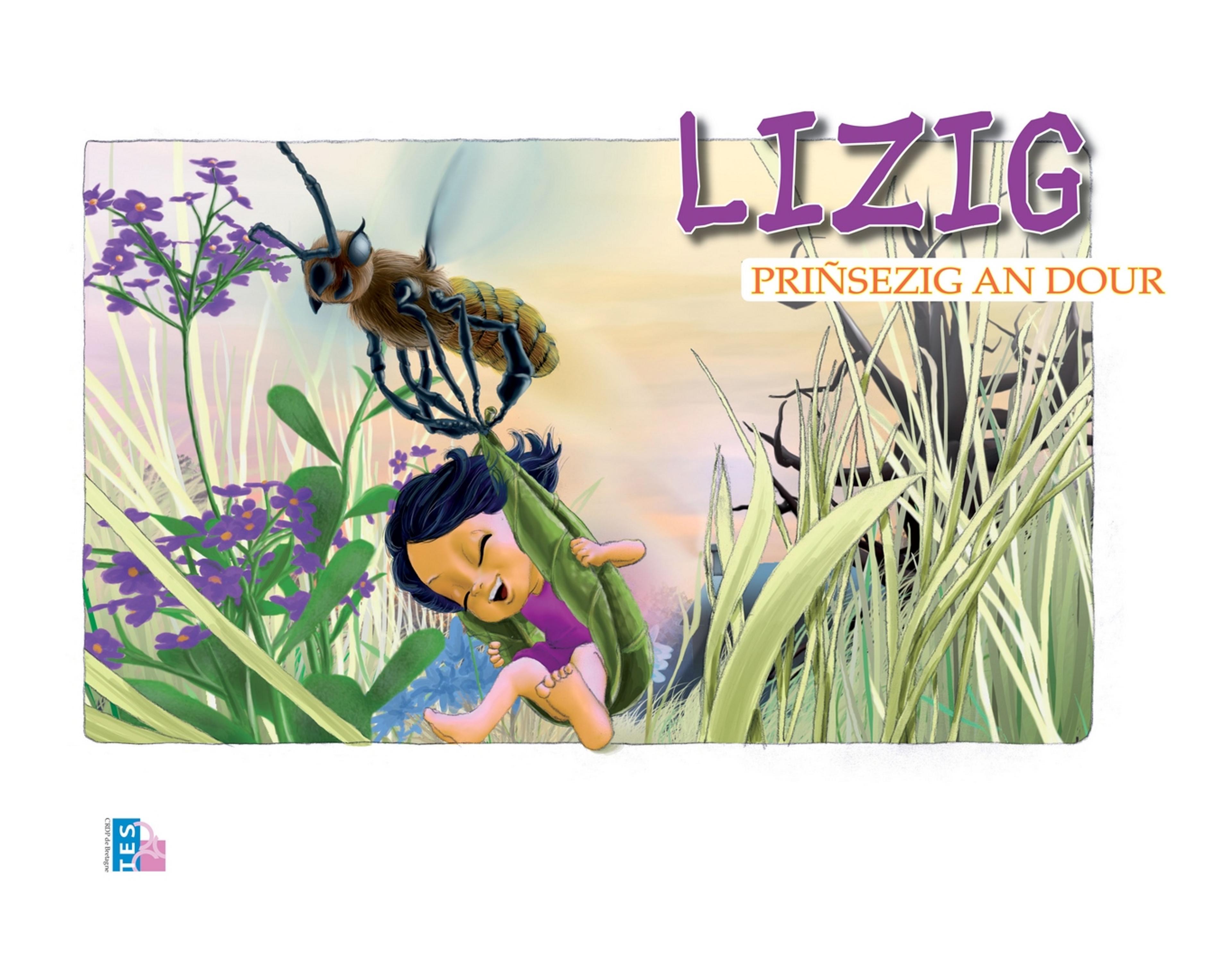 Lizig, priñsezig an dour