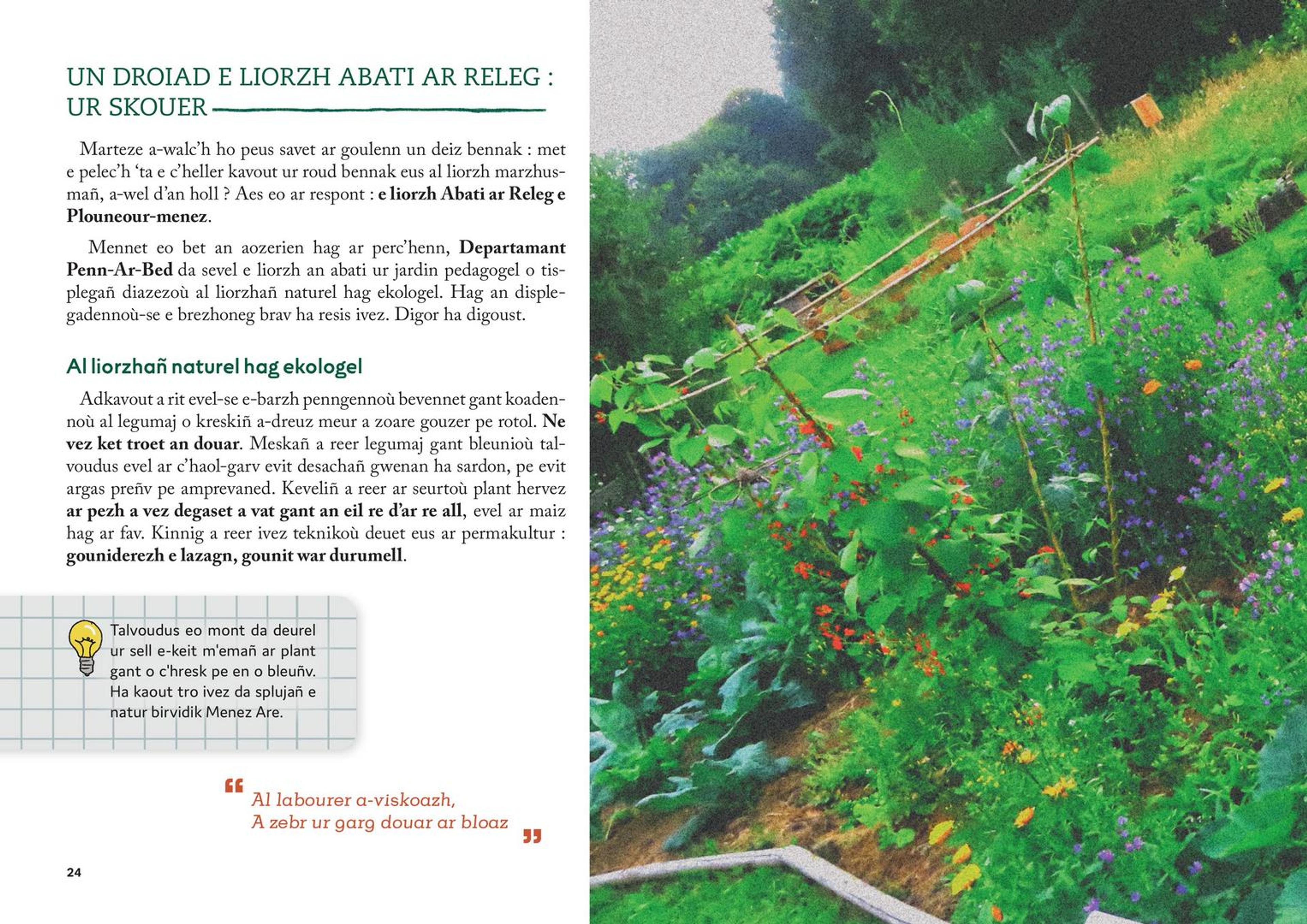 Al liorzh marzhus - 4