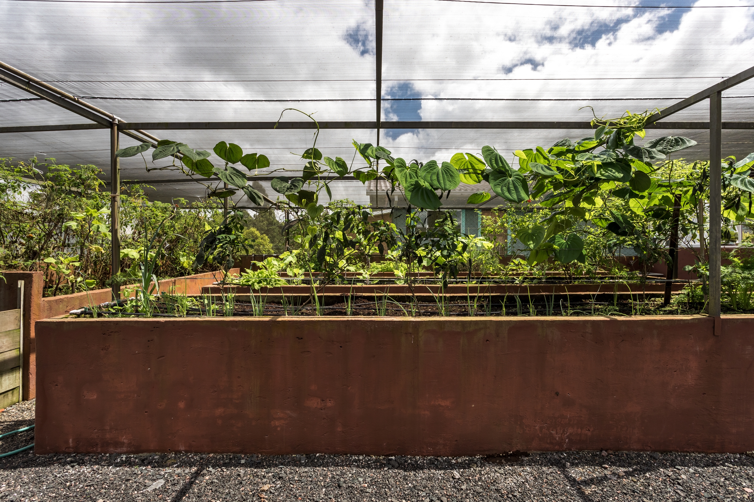 Campo das Artes imagem ampla