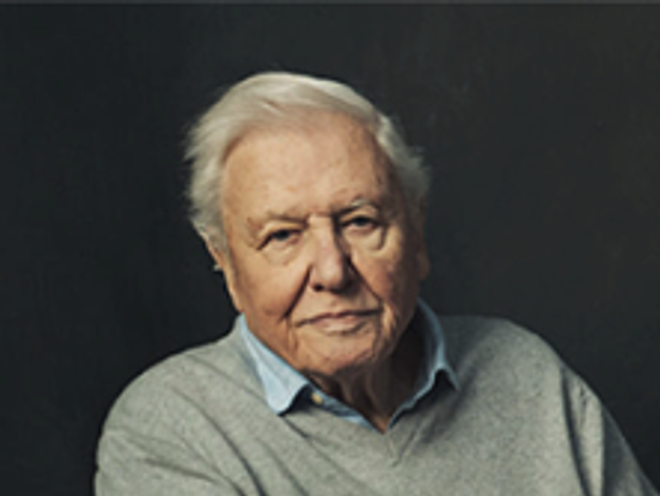 Grattis Sir David Attenborough till 100 år på planeten jorden!