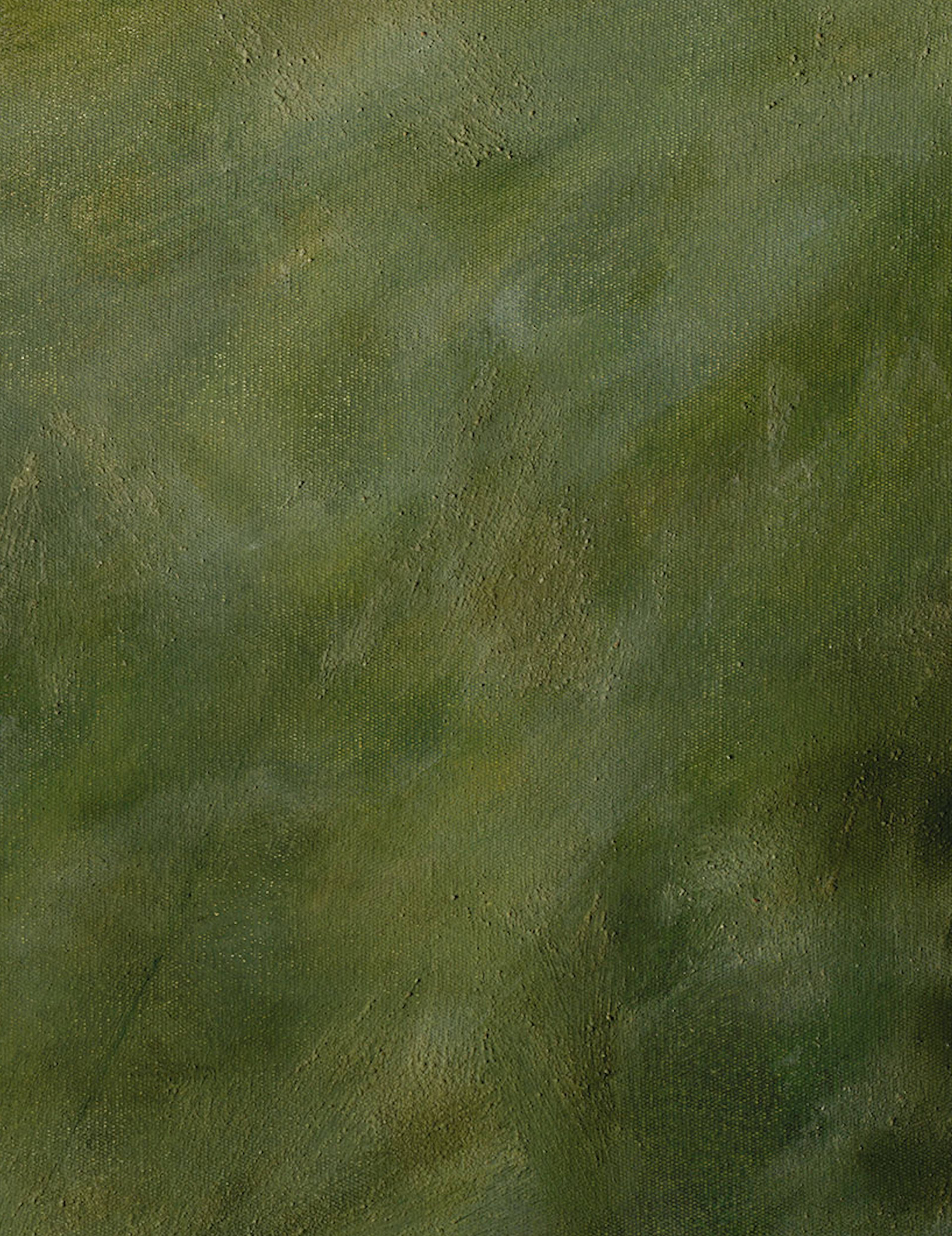 Transformation close up — oil on canvas, 78 × 63 cm