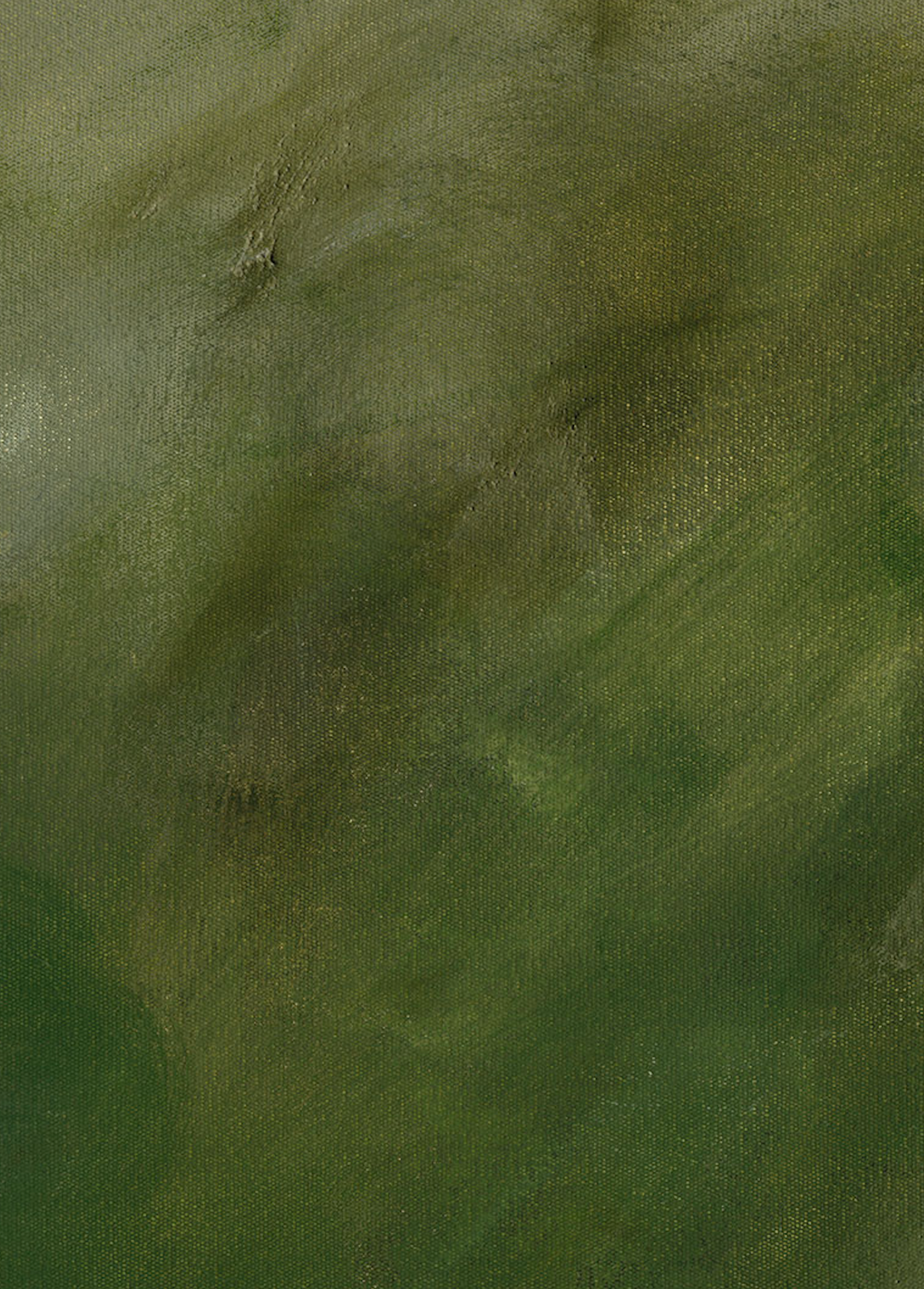 Transformation close up — oil on canvas, 78 × 63 cm