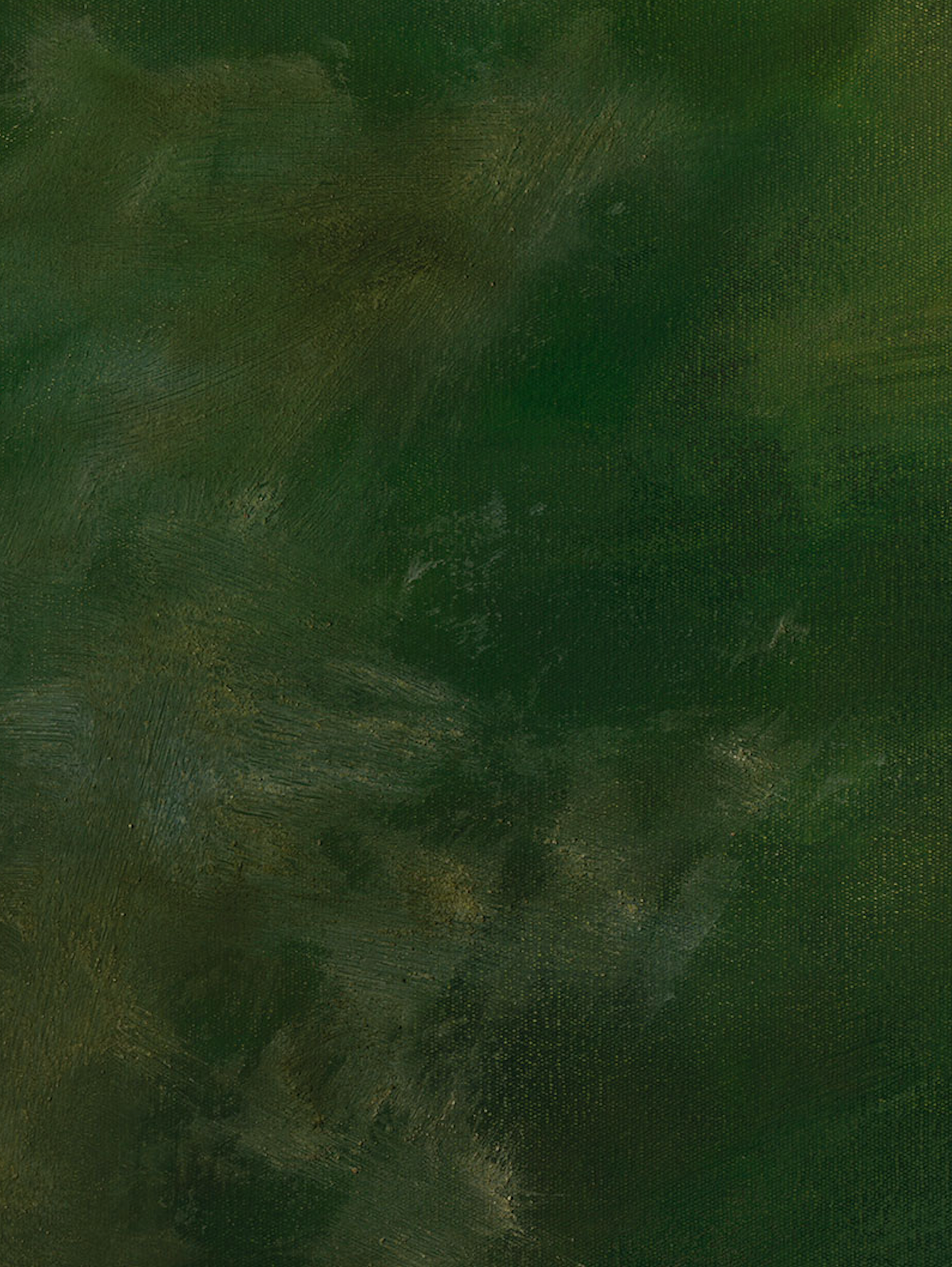 Transformation close up — oil on canvas, 78 × 63 cm