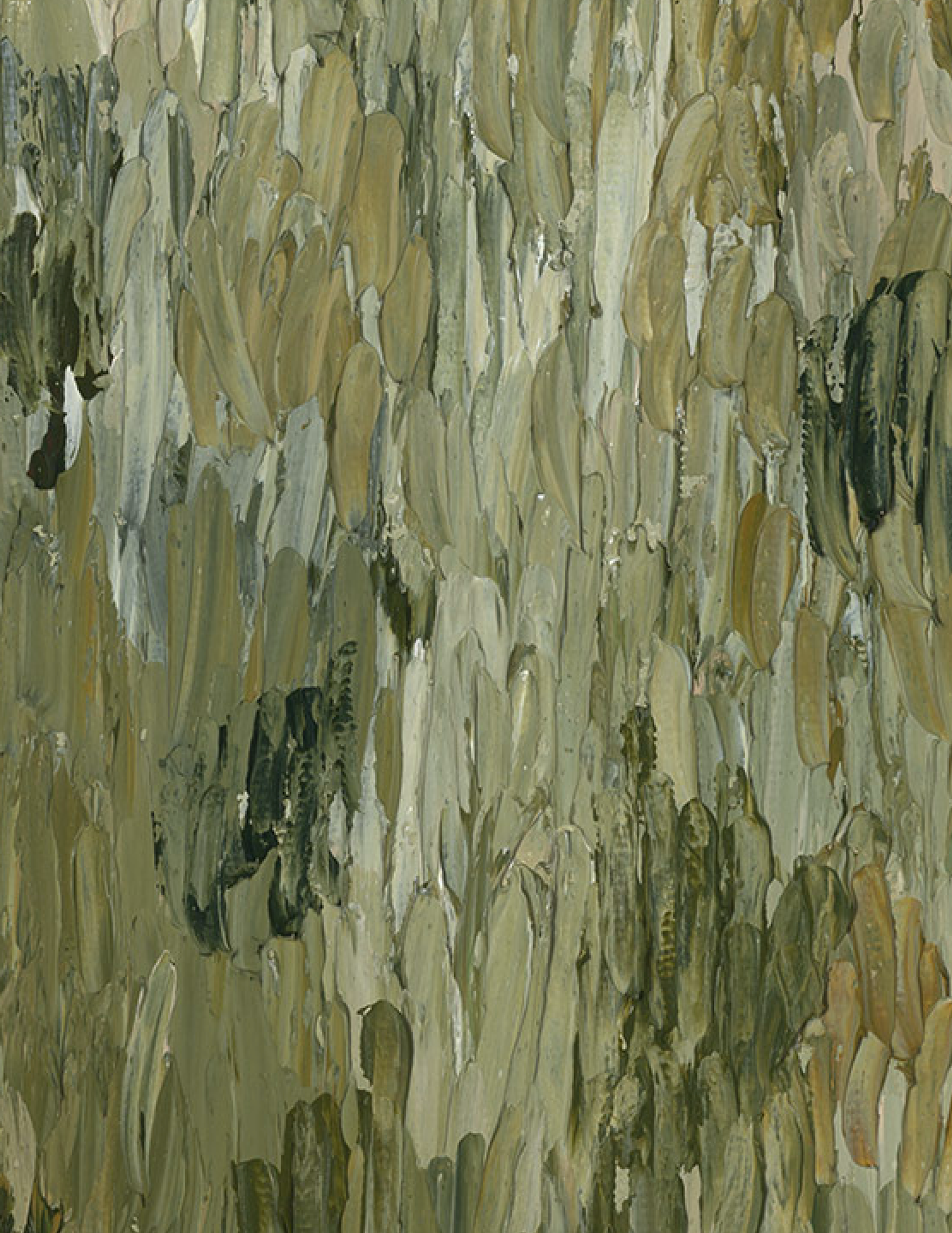 The Olive Tree close up — oil on canvas, 55 × 45 cm, 2026