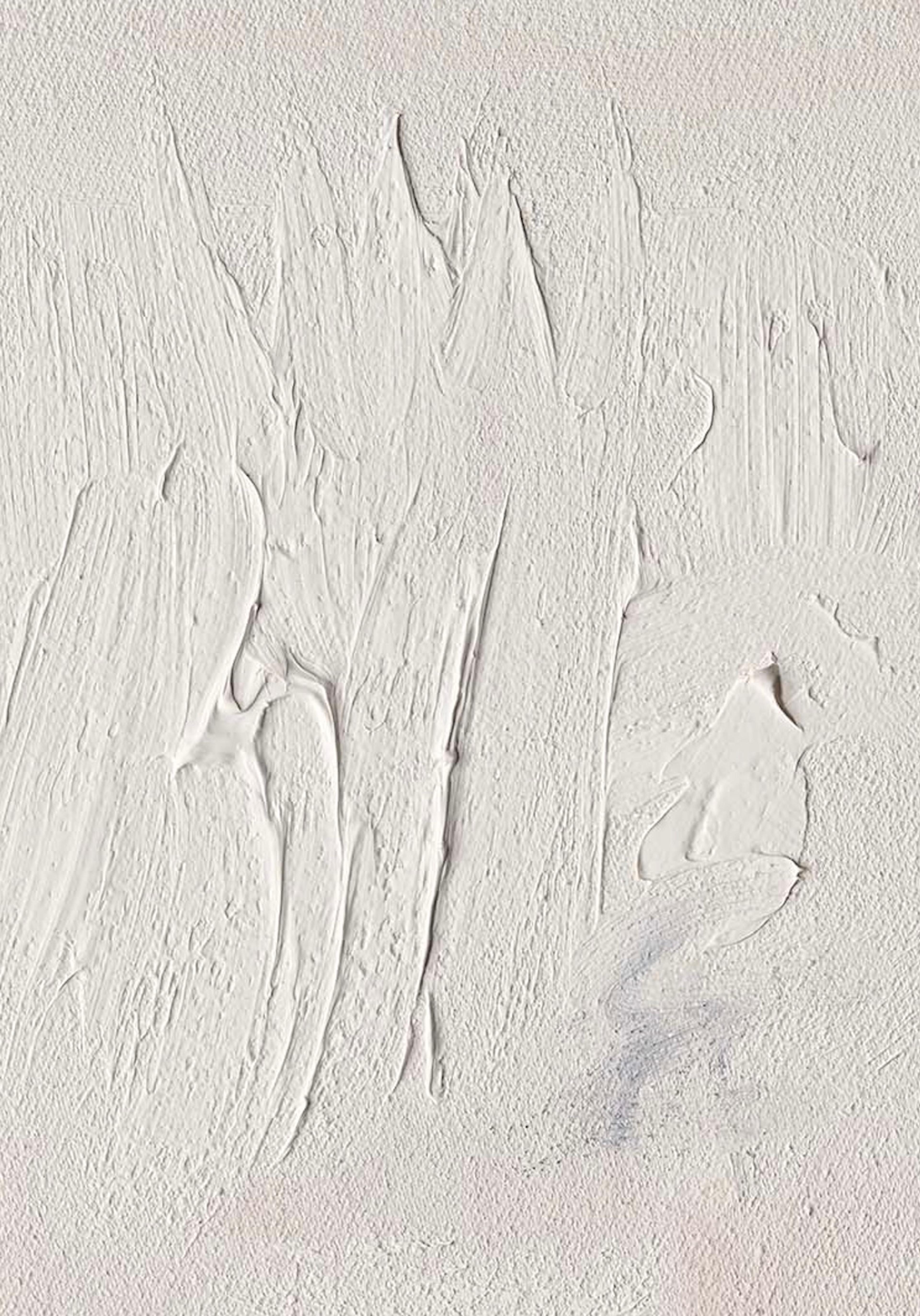 Subtle Grace close up — oil on canvas, 60 × 42 cm, 2025