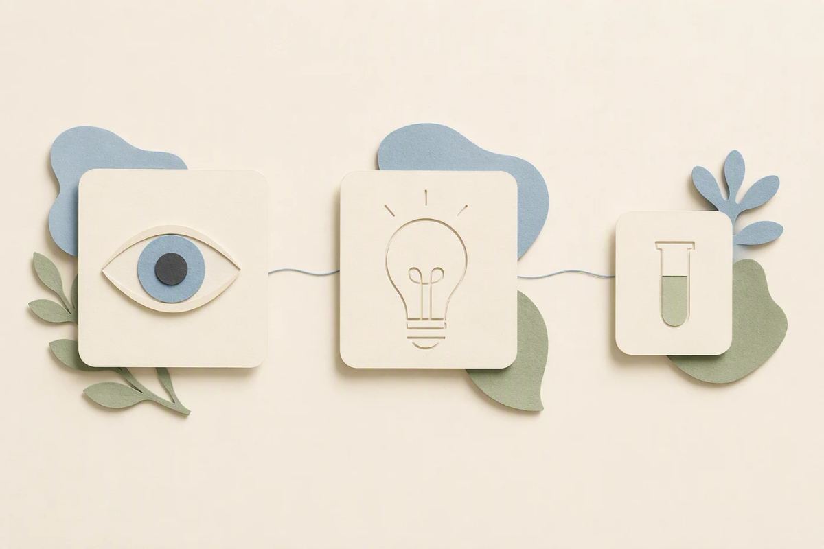An observation card and an assumption card lead to a separate experiment card.