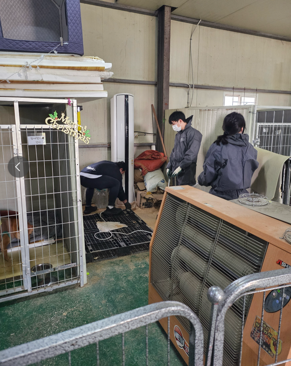 함께할개TV쉼터