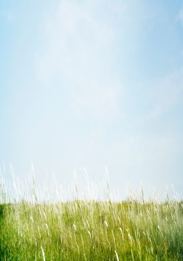 mobile-background mobile-background