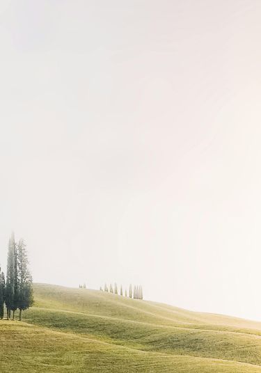 mobile-background