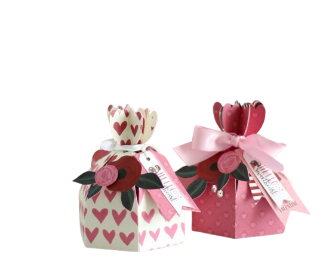 Valentine Treat Boxes