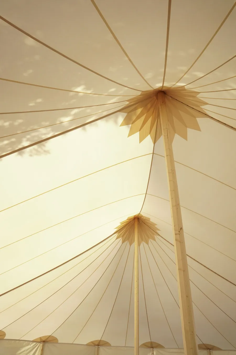 Folly & Fern marquee wedding