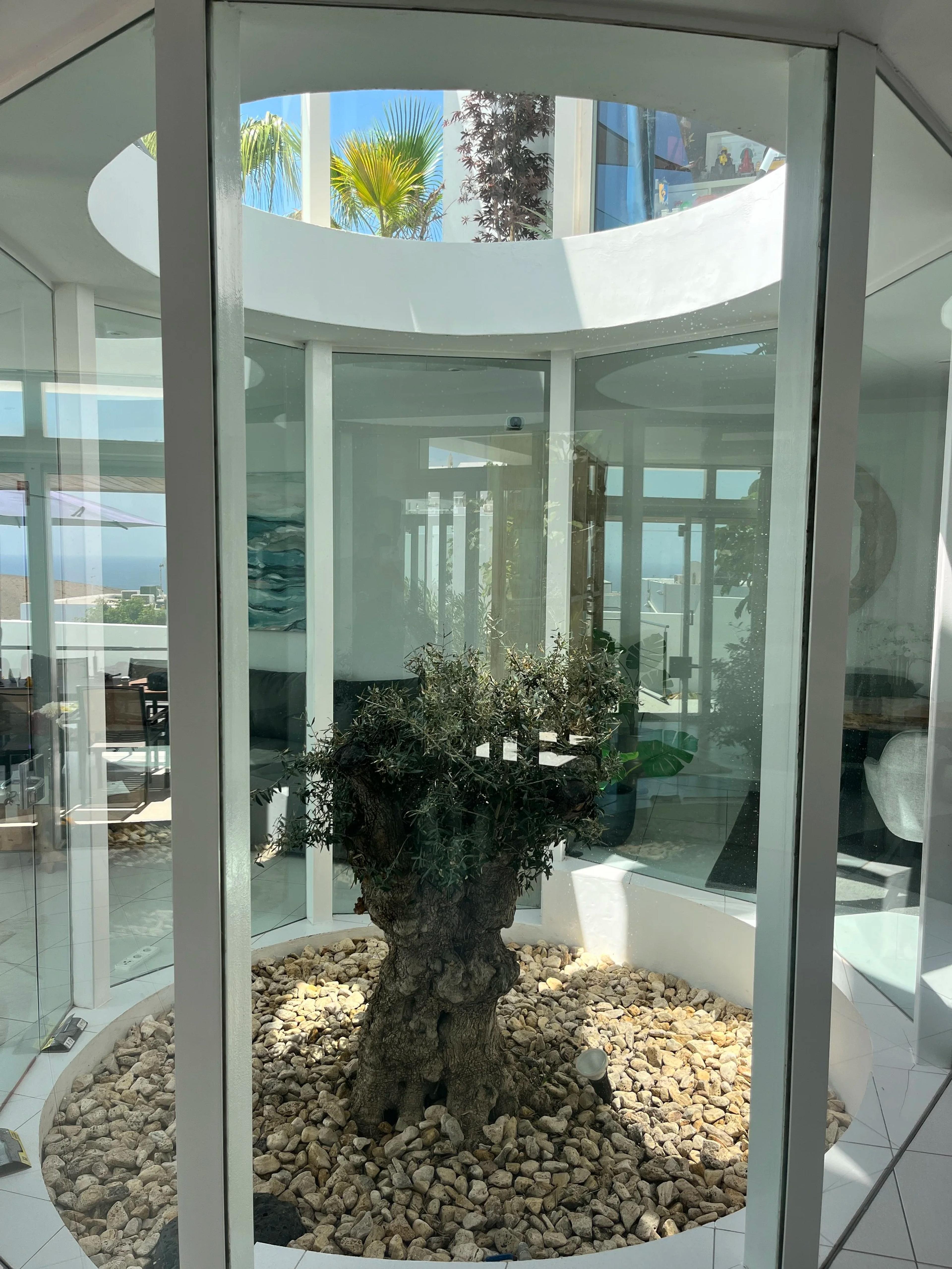Architectural villa with Atlantic views, Tías — Tías (39)