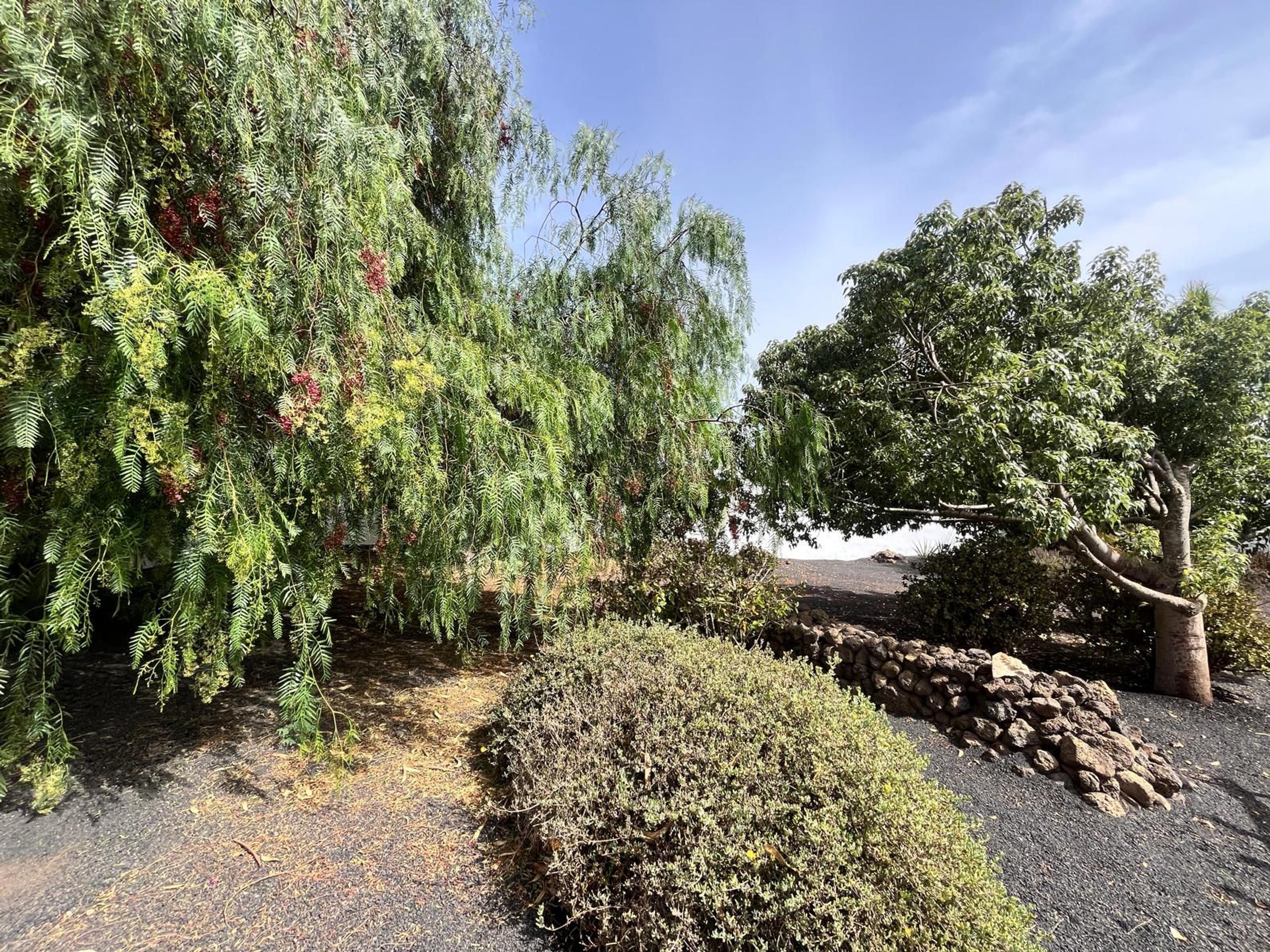 Detached house for sale in Camino de La Caldereta s/n, Macher - La Asomada, Tias 