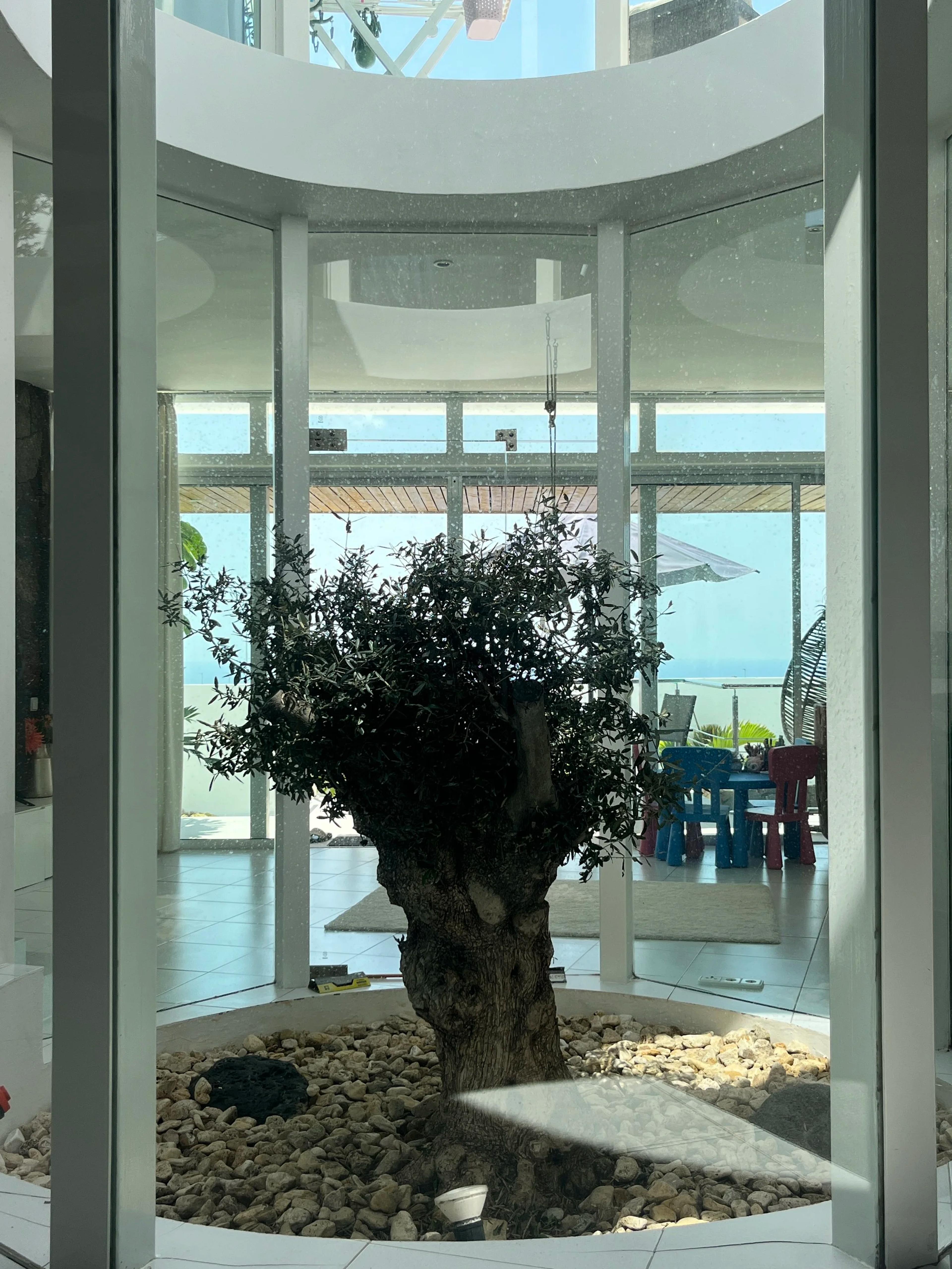 Architectural villa with Atlantic views, Tías — Tías (6)