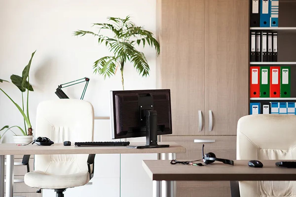 How a Clean Workplace Boosts Productivity and Employee Morale