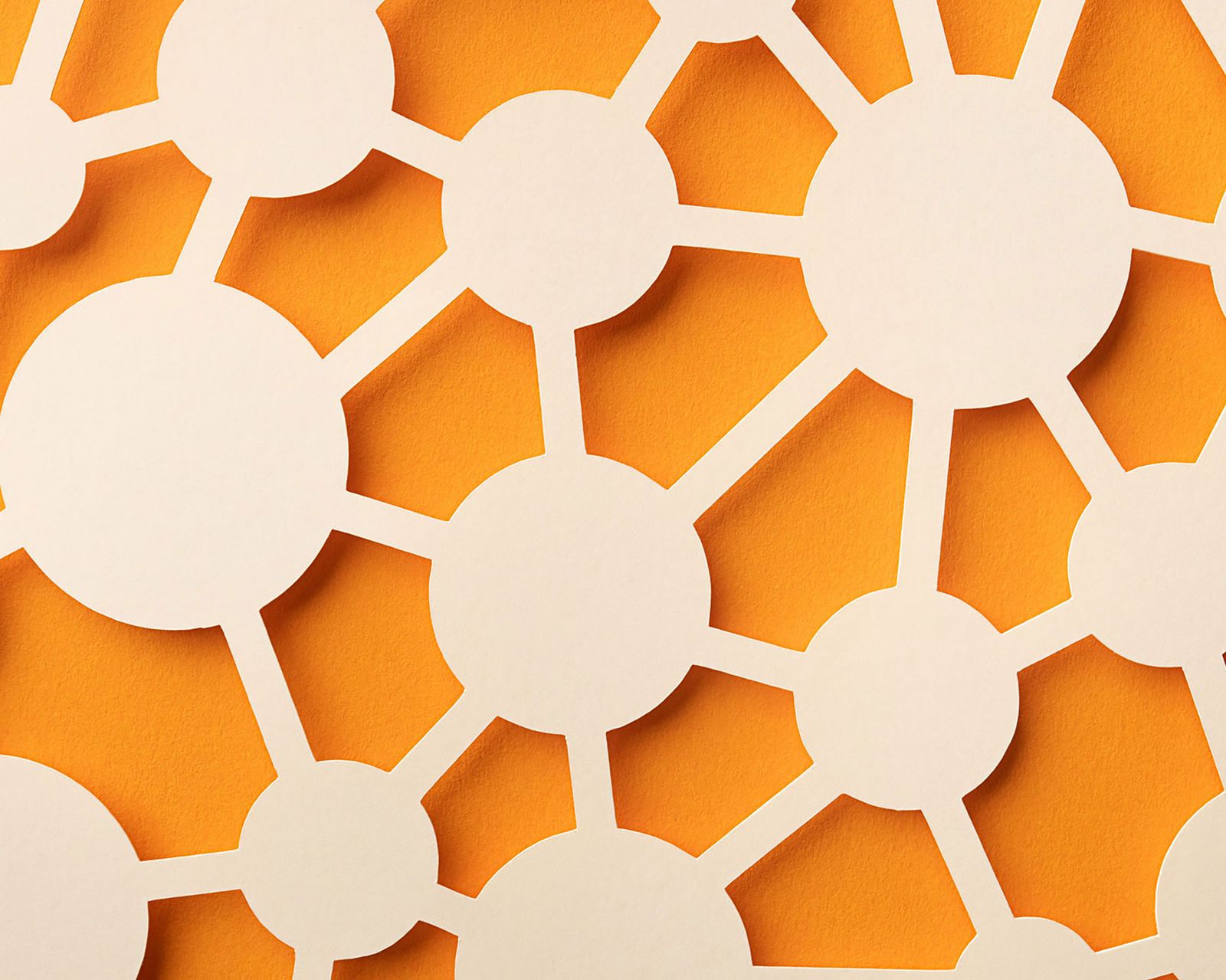 Access our network of creators, builders, and function leaders