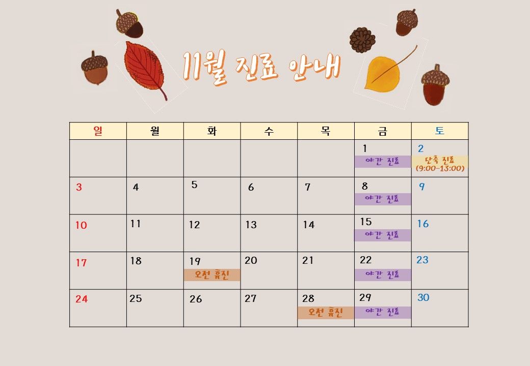 2019년 11월 에스디교정치과 진료 일정 안내 이미지