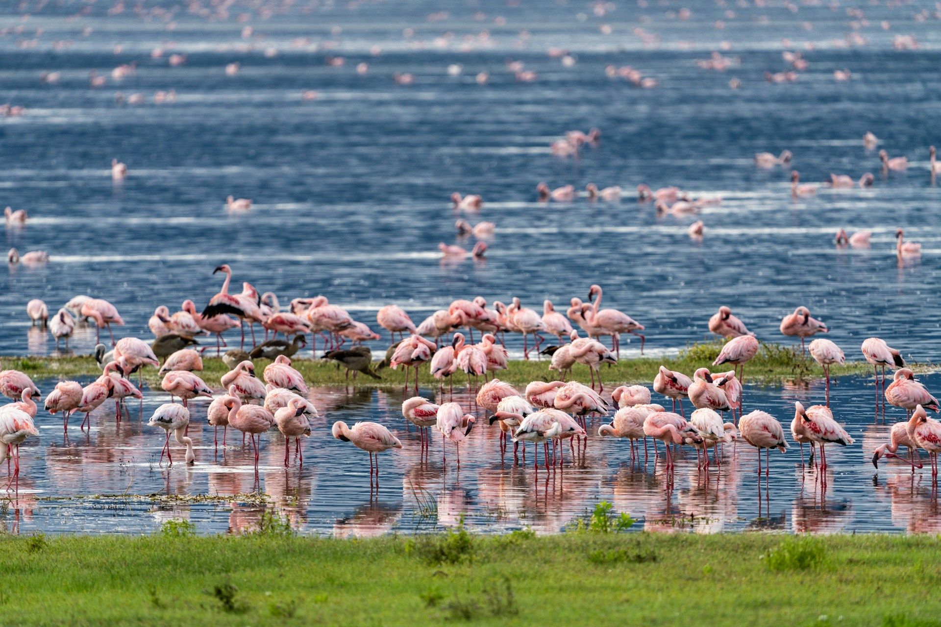 Ngorongoro Crater