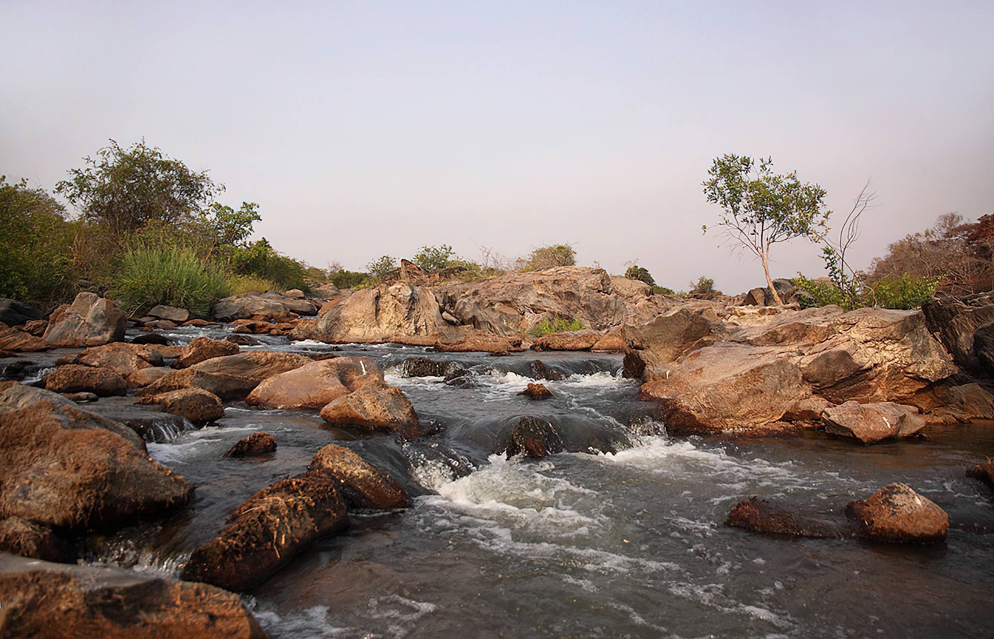 Katavi National Park